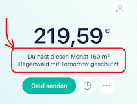 Tomorrow Regenwald